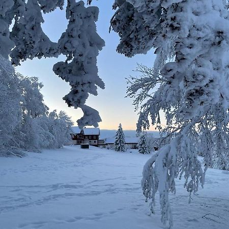 Gemuetliche Ferienwohnung Harz Braunlage Hohegeiss Exterior foto