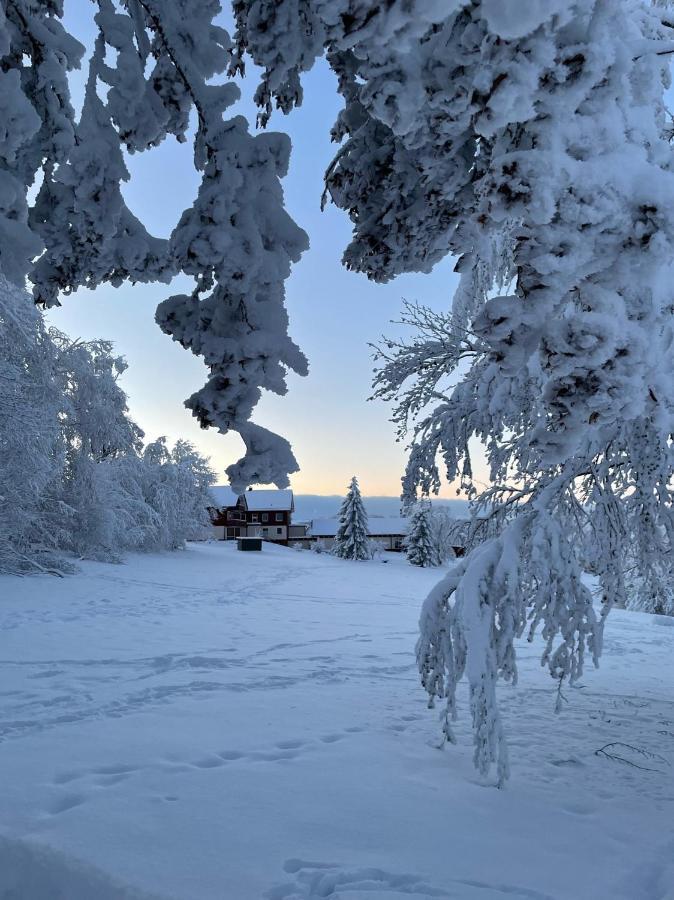 Gemuetliche Ferienwohnung Harz Braunlage Hohegeiss Exterior foto